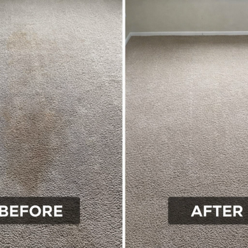 Prime Site Solutions - Carpet Cleaning Near Me - Laurel, Maryland Prime Site Solutions - Carpet Cleaning Near Me - Laurel, Maryland