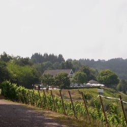Hotel Zummethof - Die letzten Meter zum Restaurant
