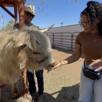 Semper Fi Homestead - Me feeding Johnny Cash - Attraction Farms Near Me