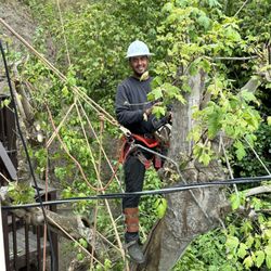 La Selva Tree Care