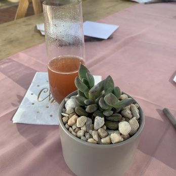 Gardens by Grace - Strawberry mimosa and my potted succulent - Tea Rooms Near Me - Chambersburg, Pennsylvania