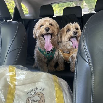 Batch 22 Bakery - Thank you for the tote bag! Congrats on the new store front! - Desserts Near Me - Los Gatos, California Batch 22 Bakery - Thank you for the tote bag! Congrats on the new store front! - Desserts Near Me - Los Gatos, California
