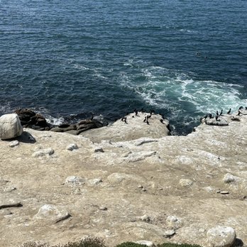 La Jolla Cove - Parks Near Me - La Jolla, California La Jolla Cove - Parks Near Me - La Jolla, California