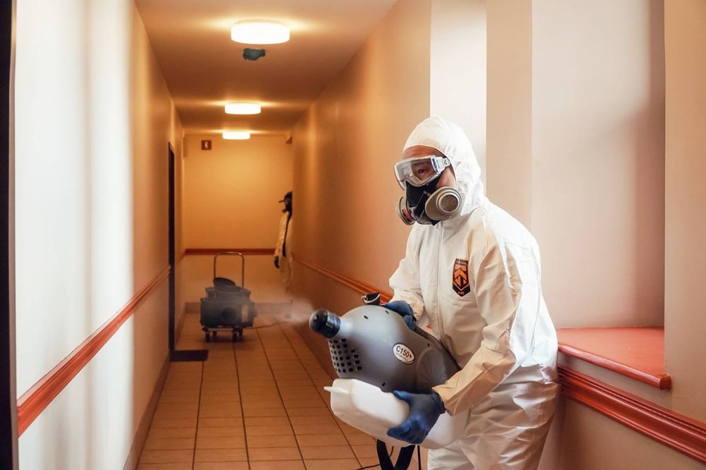 Green Orchard Group - mold inspector in City, NY