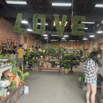 Urban Jungle - Nurseries & Gardening Near Me - Philadelphia, Pennsylvania Urban Jungle - Nurseries & Gardening Near Me - Philadelphia, Pennsylvania