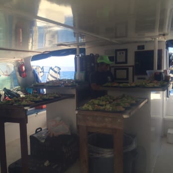 Trilogy Excursions - Getting ready to serve us delicious lunch - Snorkeling Near Me - Lahaina, Hawaii