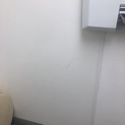 Ants. Ants.