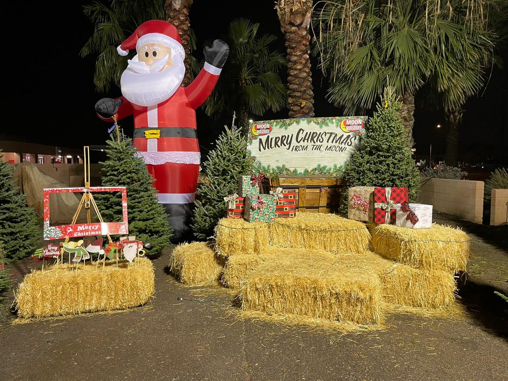 MOON VALLEY CHRISTMAS TREES 56 Photos 9099 W Pinnacle Peak Rd