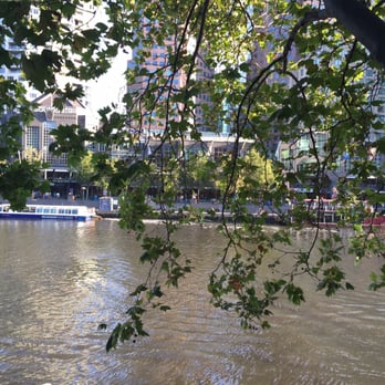 Arbory Bar & Eatery - Bars Near Me - Melbourne, VIC Arbory Bar & Eatery - Bars Near Me - Melbourne, VIC