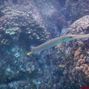 Beyond Cabo - Snorkeling Near Me - Cabo San Lucas, BCS