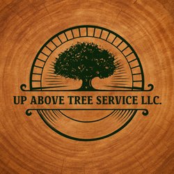 Up Above Tree Service