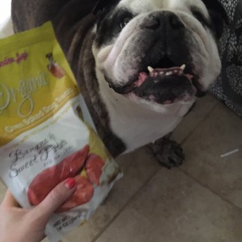 Dog Krazy - Bulldog approved - Pet Stores Near Me - Fredericksburg, Virginia Dog Krazy - Bulldog approved - Pet Stores Near Me - Fredericksburg, Virginia