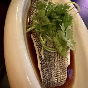 Cinnabar - Steamed Chilean Bass - Sushi Bars Near Me - Massapequa, New York Cinnabar - Steamed Chilean Bass - Sushi Bars Near Me - Massapequa, New York