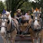 Photo of Merry-Go-Round Carriage Rides
