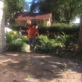 Aaron's Tree Service - Aaron's Tree Services - Tree Services Near Me - Austin, Texas