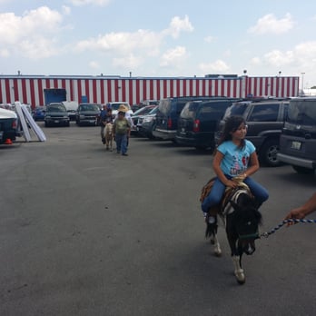 Swap-O-Rama - Pony ride for kids - Flea Markets Near Me - Chicago, Illinois Swap-O-Rama - Pony ride for kids - Flea Markets Near Me - Chicago, Illinois