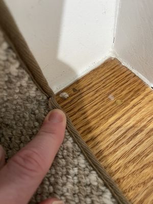 Carpet Palace & Floors