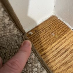 Carpet Palace & Floors - Binding is sloppy