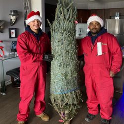 TreeSanta Chicago Christmas Tree Delivery