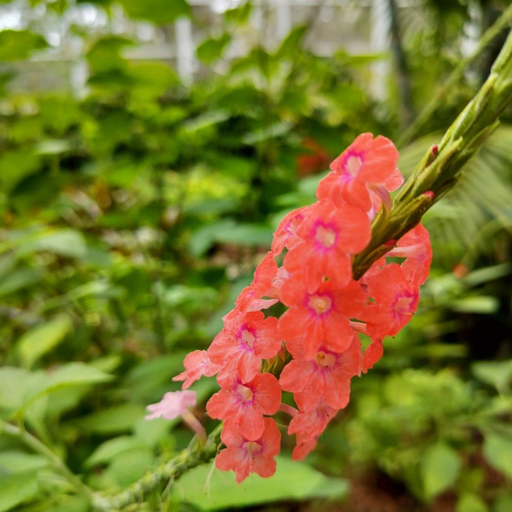 Social spots from Fairchild Tropical Botanic Garden
