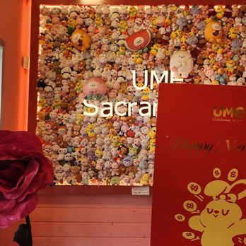 UME Tea - Sacramento - Wall of stuffies - Coffee & Tea Near Me - Sacramento, California
