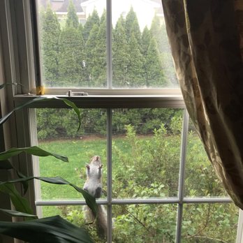 DQ Pest Control - Sorry -  Can't quarantine here! - Pest Control Near Me