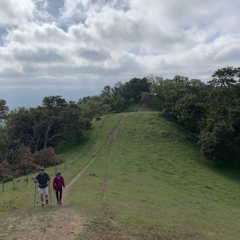 Pleasanton Ridge Regional Park - SO BEAUTIFUL! - Parks Near Me - Pleasanton, California