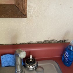 Pioneer On Long Lake - Black Mold around the sink!