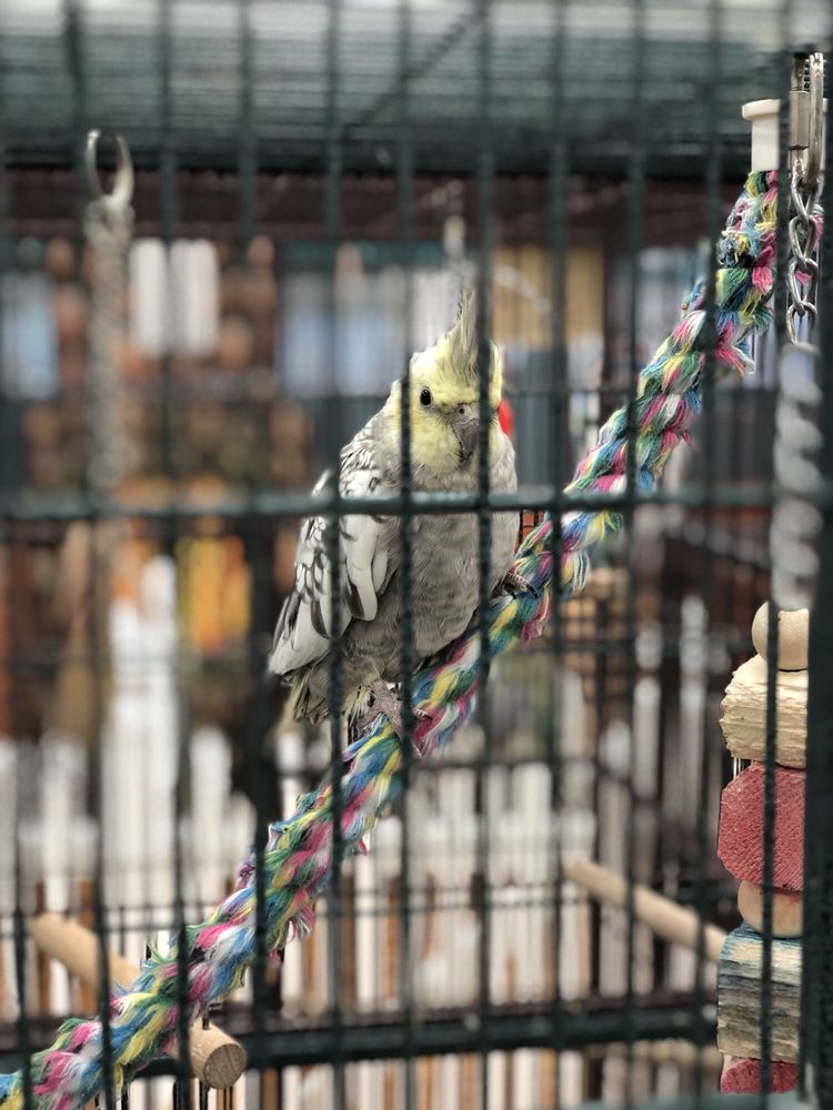 PETS PLUS Updated August 2024 12 Photos & 15 Reviews 4450 Black