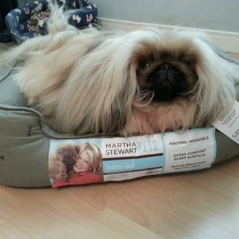PetSmart Grooming - Pet Stores Near Me - Markham, Ontario