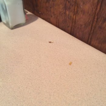 China Bowl - There was some crumbs on table where we were seated - Chinese Near Me - Boerne, Texas