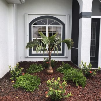 L J Decorating Landscape - a palm tree in a garden - Landscaping Near Me - Cape Coral, Florida L J Decorating Landscape - a palm tree in a garden - Landscaping Near Me - Cape Coral, Florida