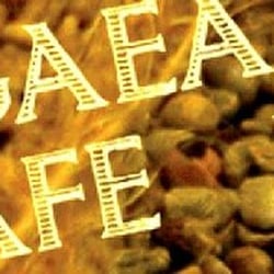 Pangaea Bier Cafe
