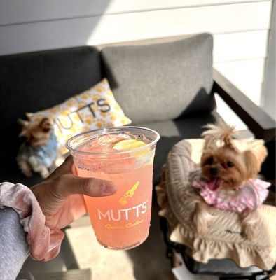 MUTTS Canine Cantina® - Austin by null