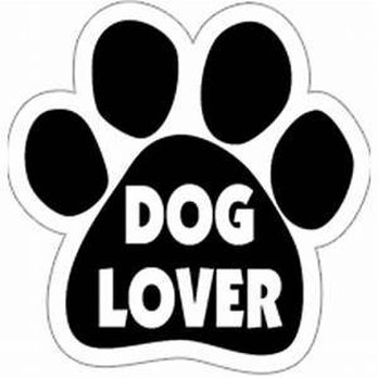 Cool Dog Gear - Pet Stores Near Me - Warrington, Pennsylvania Cool Dog Gear - Pet Stores Near Me - Warrington, Pennsylvania