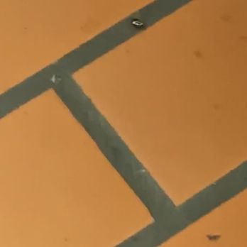 Taurus Flavors - Roaches or bed bug? - Sandwiches Near Me - Dolton, Illinois