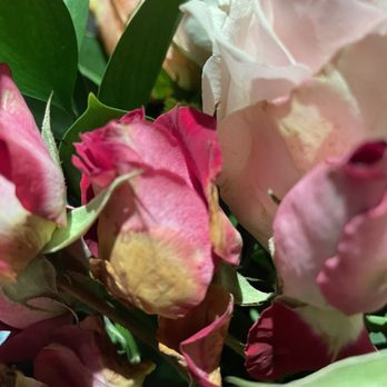 UrbanStems - Bud with decayed petals - Florists Near Me UrbanStems - Bud with decayed petals - Florists Near Me