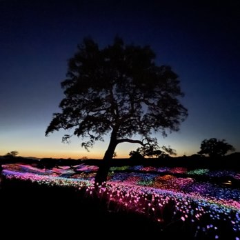 Sensorio - Art Galleries Near Me - Paso Robles, California Sensorio - Art Galleries Near Me - Paso Robles, California