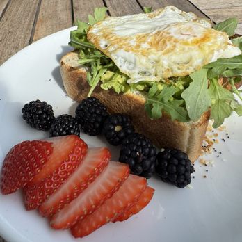 Seeds Coffee - Homewood - Everything Avocado Toast served with fruit - Coffee & Tea Near Me - Birmingham, Alabama Seeds Coffee - Homewood - Everything Avocado Toast served with fruit - Coffee & Tea Near Me - Birmingham, Alabama
