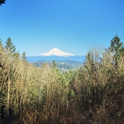 Scouters Mountain