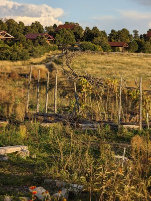 Cordwood by null