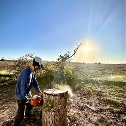 Green Valley Tree Service - Castroville Sunrise!