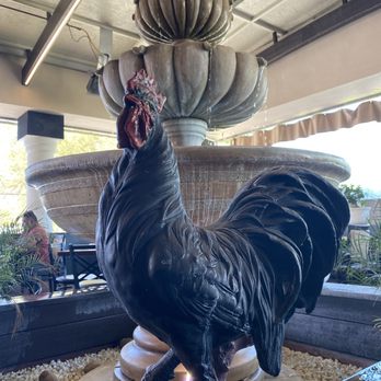 El Gallo Negro - Gallo negro on the patio - Mexican Near Me - Windsor, California El Gallo Negro - Gallo negro on the patio - Mexican Near Me - Windsor, California