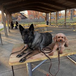Bonding with Buddies - Daisy loves hanging out with her friends at our classes.