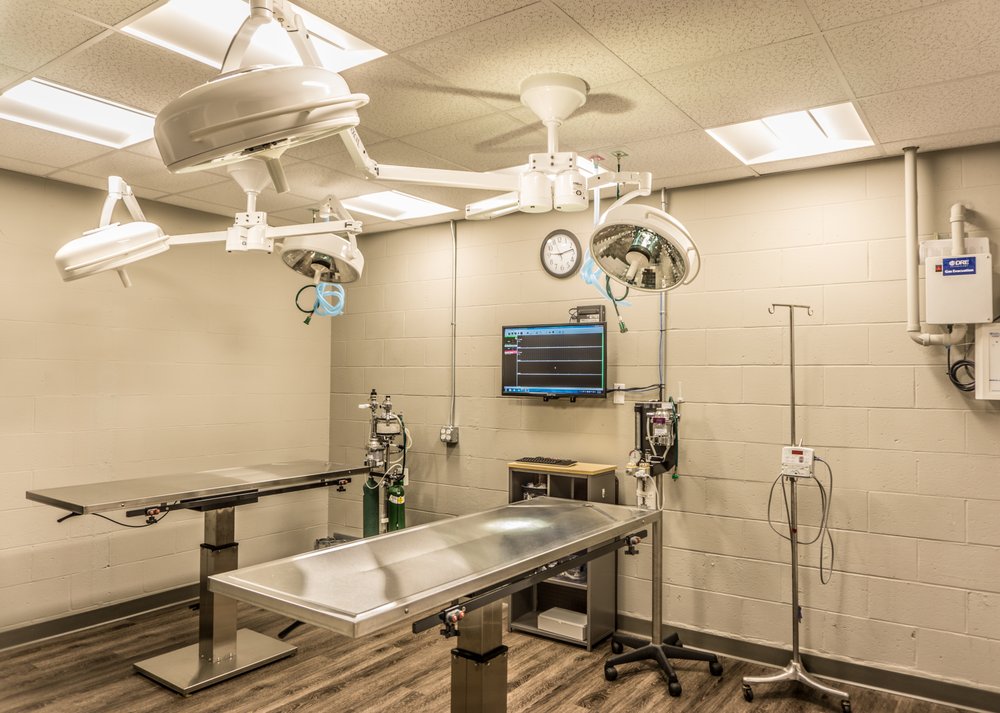 CLARK VETERINARY HOSPITAL Updated August 2024 32 Photos & 25