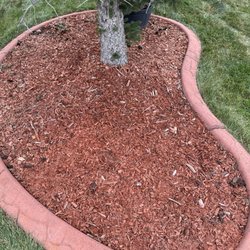 All Year Lawn Clear - Mulch & Concrete Curbing
