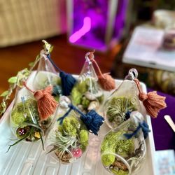 mj.cultivates - *HAND-MADE TERRARIUMS*