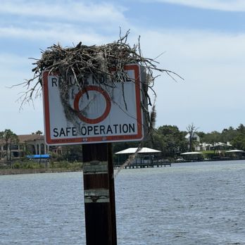 Aloha Pontoon Rental - Take a boat ride around the bay to enjoy some scenery! - Boating Near Me - Destin, Florida Aloha Pontoon Rental - Take a boat ride around the bay to enjoy some scenery! - Boating Near Me - Destin, Florida