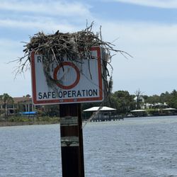 Aloha Pontoon Rental - Take a boat ride around the bay to enjoy some scenery!