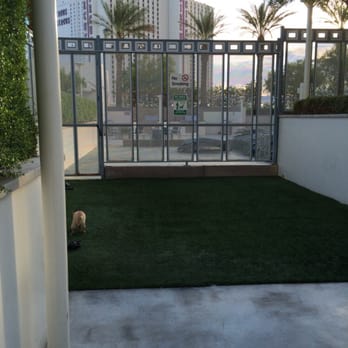 Sky Las Vegas - The dog potty area. Not real grass obviously but plenty of poop bags. - Condominiums Near Me - Las Vegas, Nevada